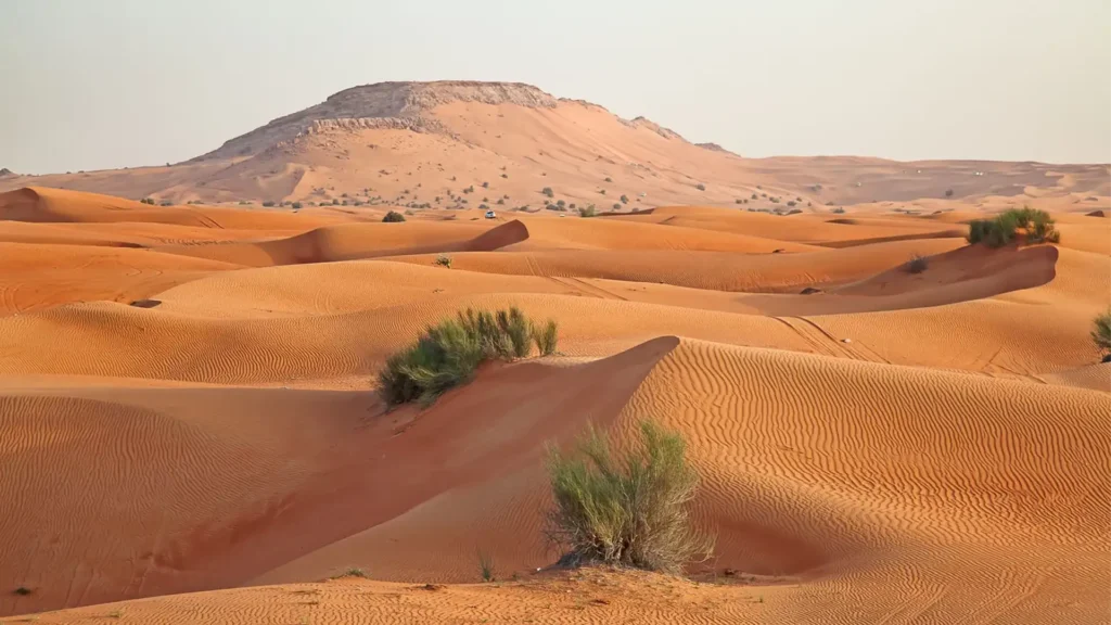 The Desert Landscape, Dubai, Abu Dhabi, UAE