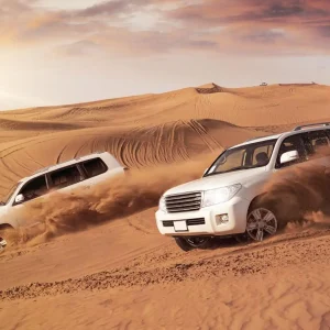 Desert Safari, Abu Dhabi, UAE