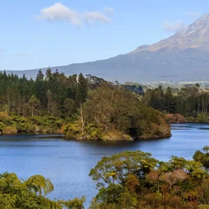 Egmont National Park, Taranaki, New Zealand