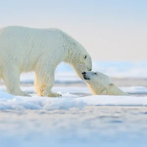 Northwest Territories, Nunavut, Yukon, Canada