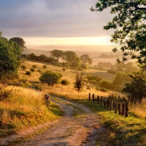 Chiltern Hills-Buckinghamshire-Oxfordshire-Hertfordshire-Bedfordshire-England