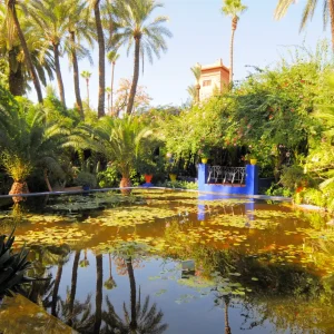 Jardin Majorelle, Marrakech, Morocco