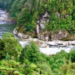 Kahurangi National Park, Tasman, Nelson, New Zealand